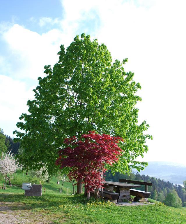 فندق تيفغرابنفي  Hochsernerhof المظهر الخارجي الصورة